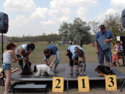 Натисніть, щоб побачити повний розмір