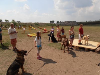 A teljes méretű képhez kattints ide