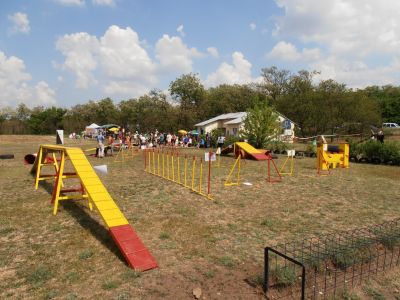 Натисніть, щоб побачити повний розмір