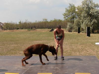 Κάντε κλικ για να δείτε την εικόνα σε πλήρες μέγεθος