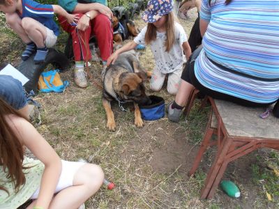 Натисніть, щоб побачити повний розмір