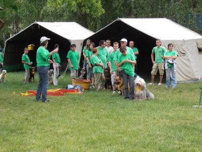 A teljes méretű képhez kattints ide