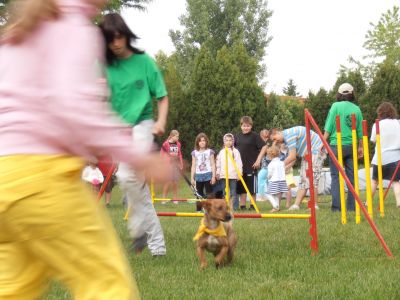 A teljes méretű képhez kattints ide