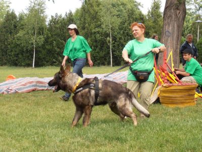 Klikkaa kuvaa nähdäksesi se täysikokoisena