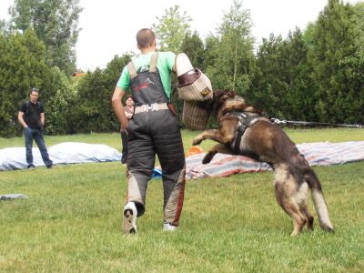 Натисніть, щоб побачити повний розмір