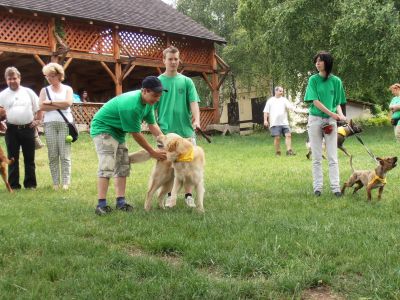 A teljes méretű képhez kattints ide